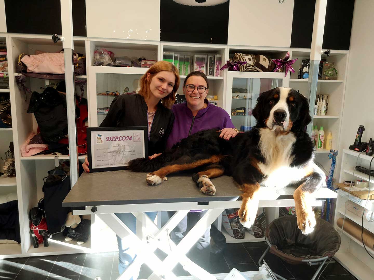 Hundesalon Anders! Vorteile der Ausbildung Anders!