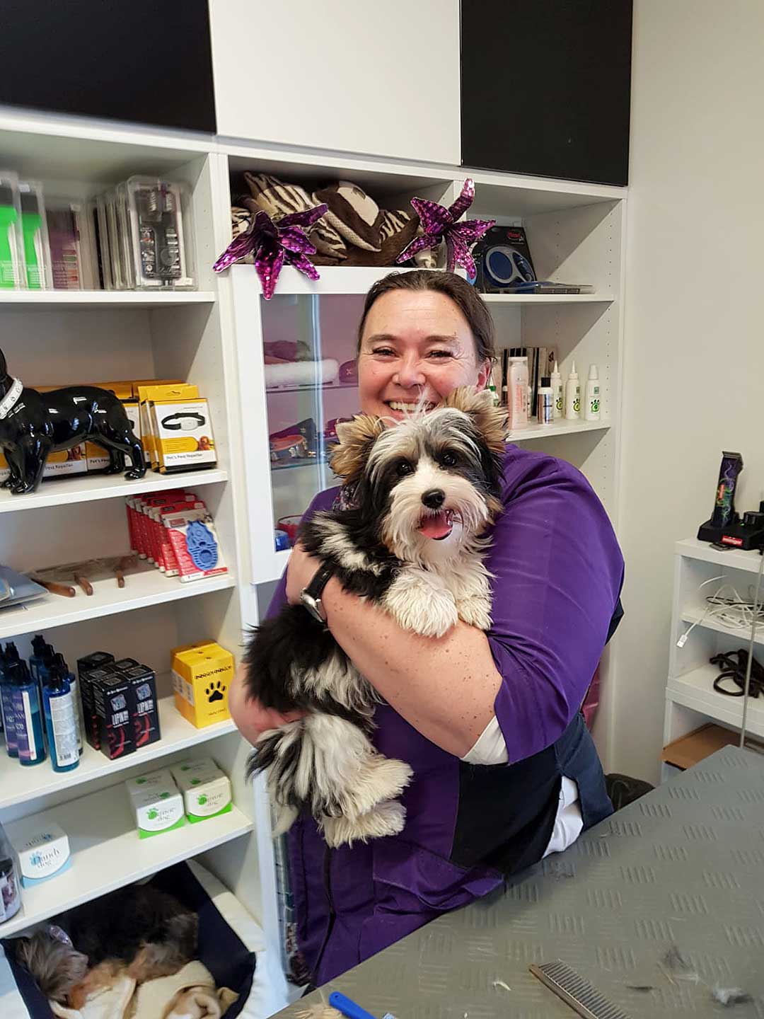 Hundesalon Anders! Voraussetzungen