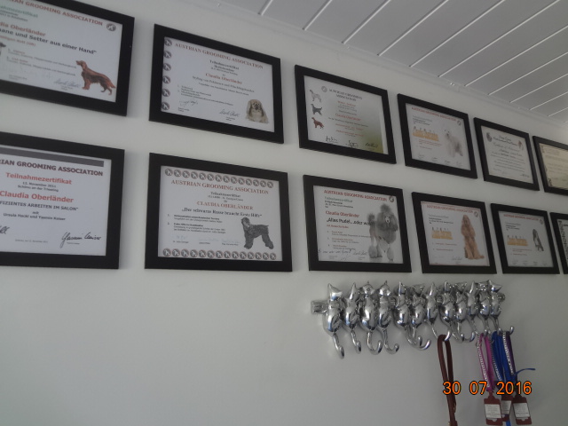 Hundesalon Anders! Der Salon