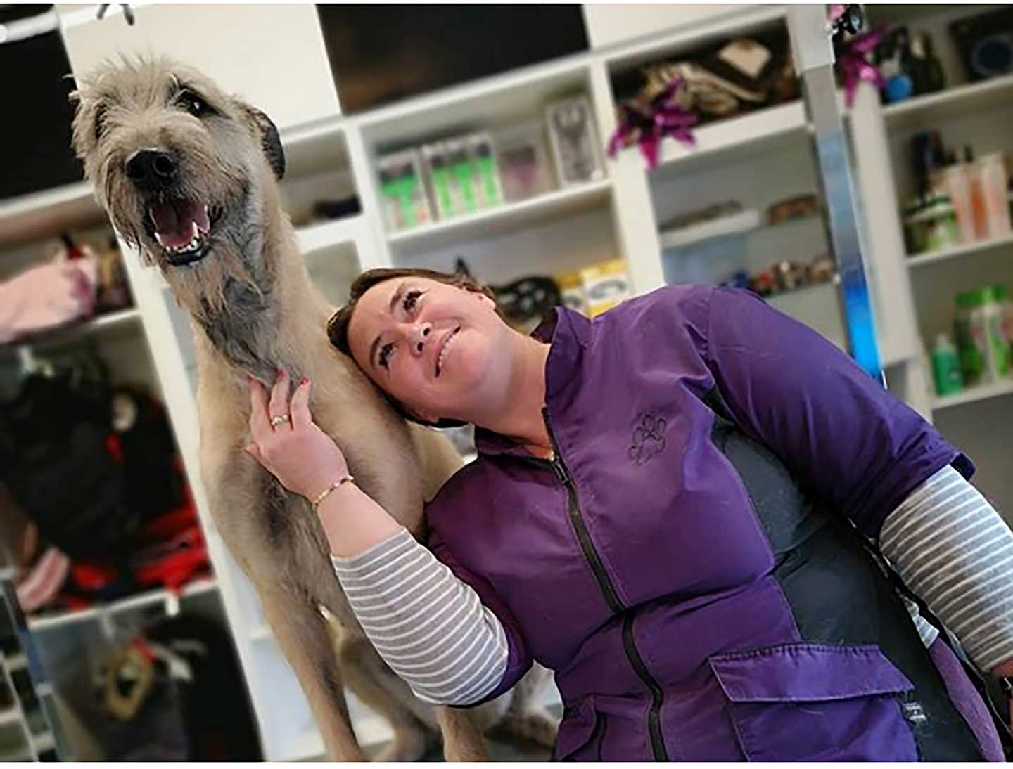 Hundesalon und Groomer-Schule Anders! Schnittbeispiele gepflegte Trimmhunde