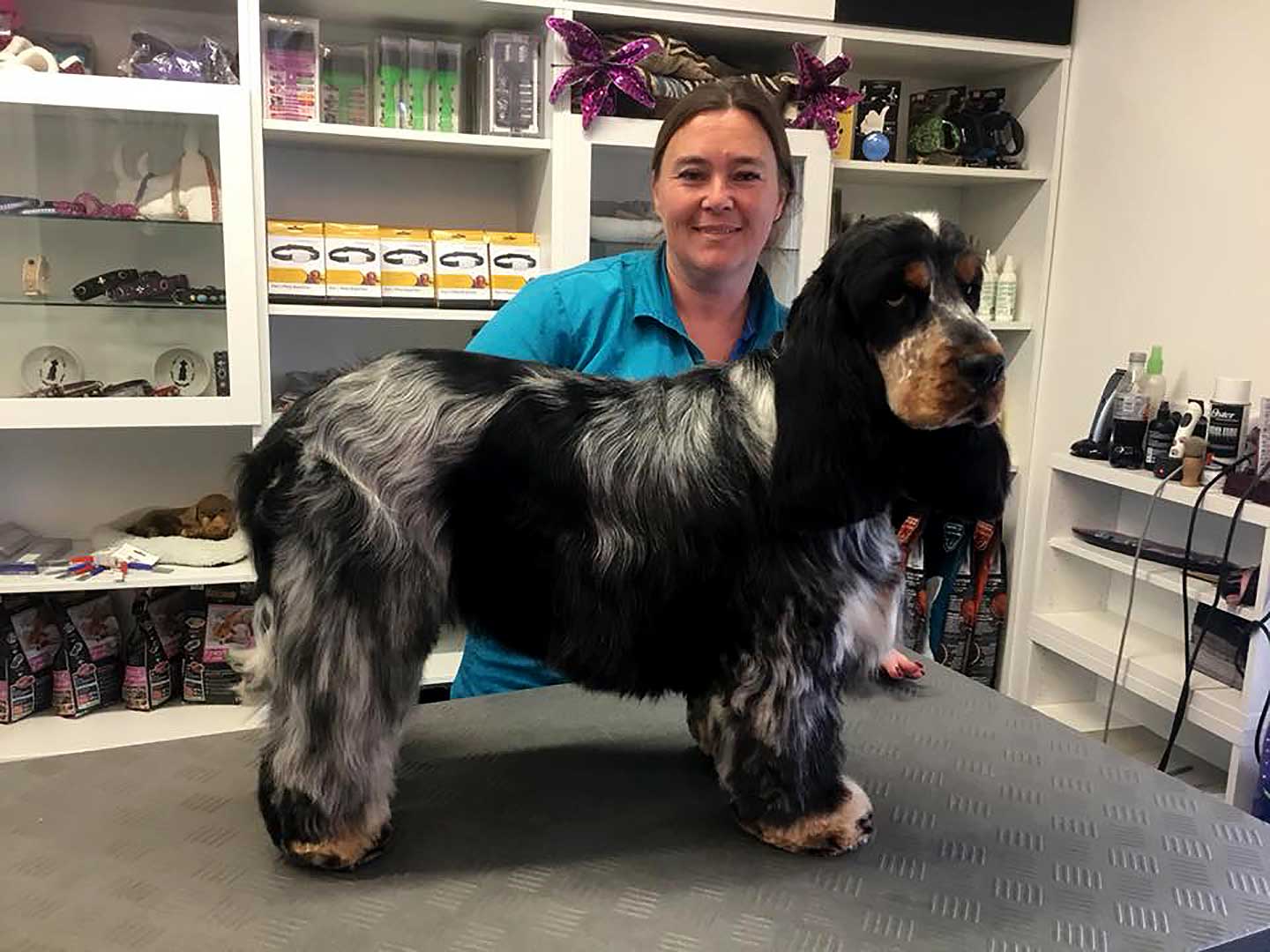 Hundesalon und Groomer-Schule Anders!