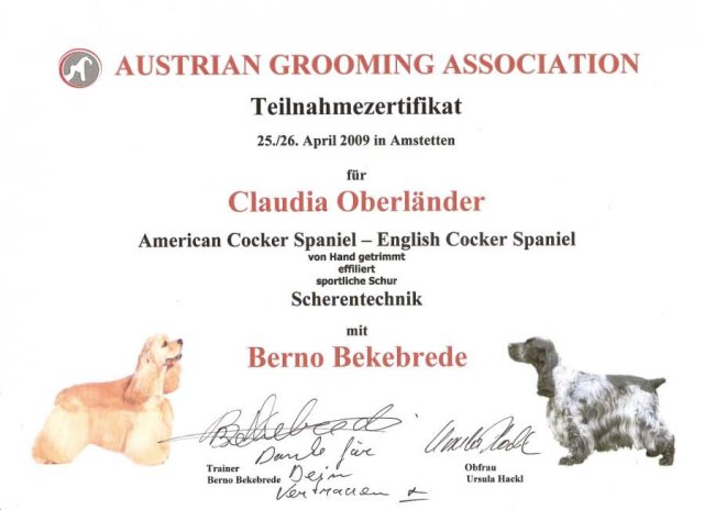 Hundesalon Anders! Zertifikat 14