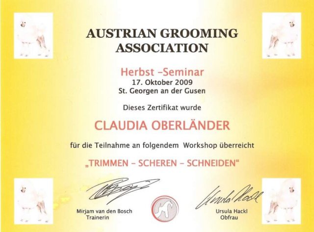 Hundesalon Anders! Zertifikat 16