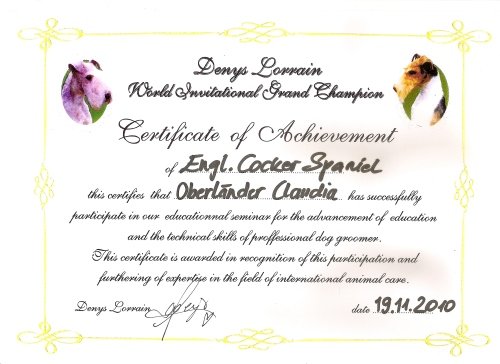 Hundesalon Anders! Zertifikat 19